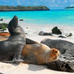 galápagos ecuador pg travel expeditions