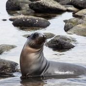 Santa Cruz Ecuador