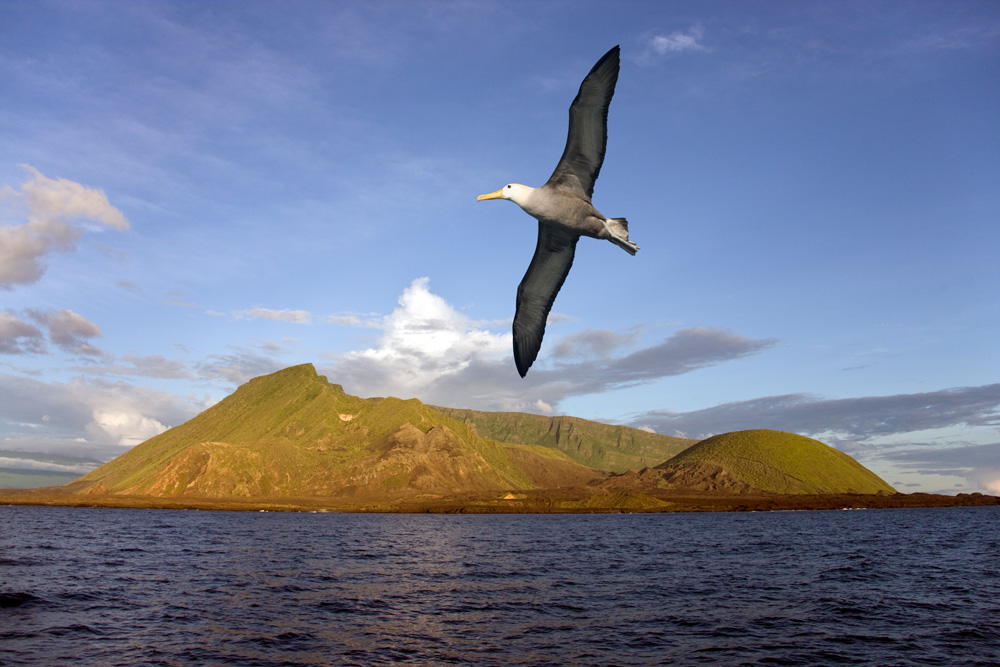 galapagos ecuaor pg travel expeditions