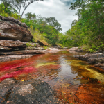 caño cristales Colombia pg travel expeditions